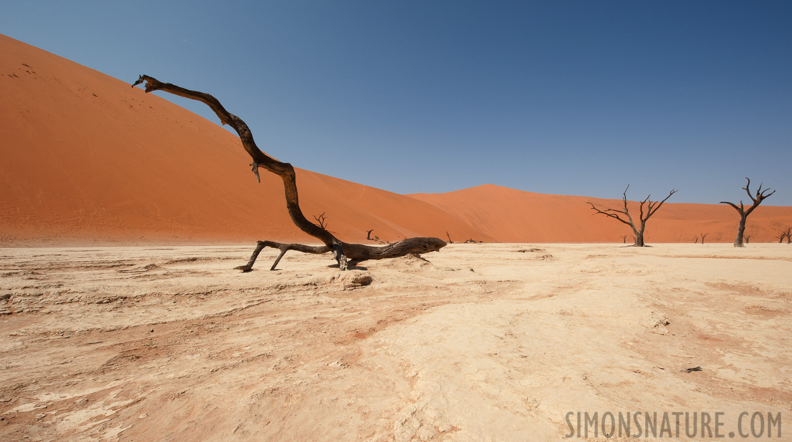 Namib-Naukluft National Park [14 mm, 1/200 Sek. bei f / 22, ISO 400]